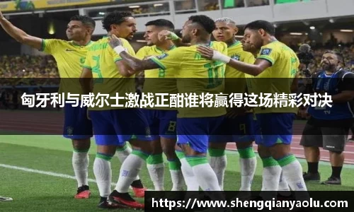 匈牙利与威尔士激战正酣谁将赢得这场精彩对决